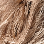 Scarf - Γούνα & Fur Χρώμα 3276